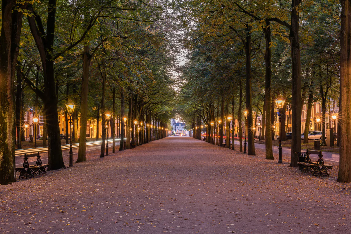 Het Lange Voorhout bij avond: brandende lantaarns onder de lindes